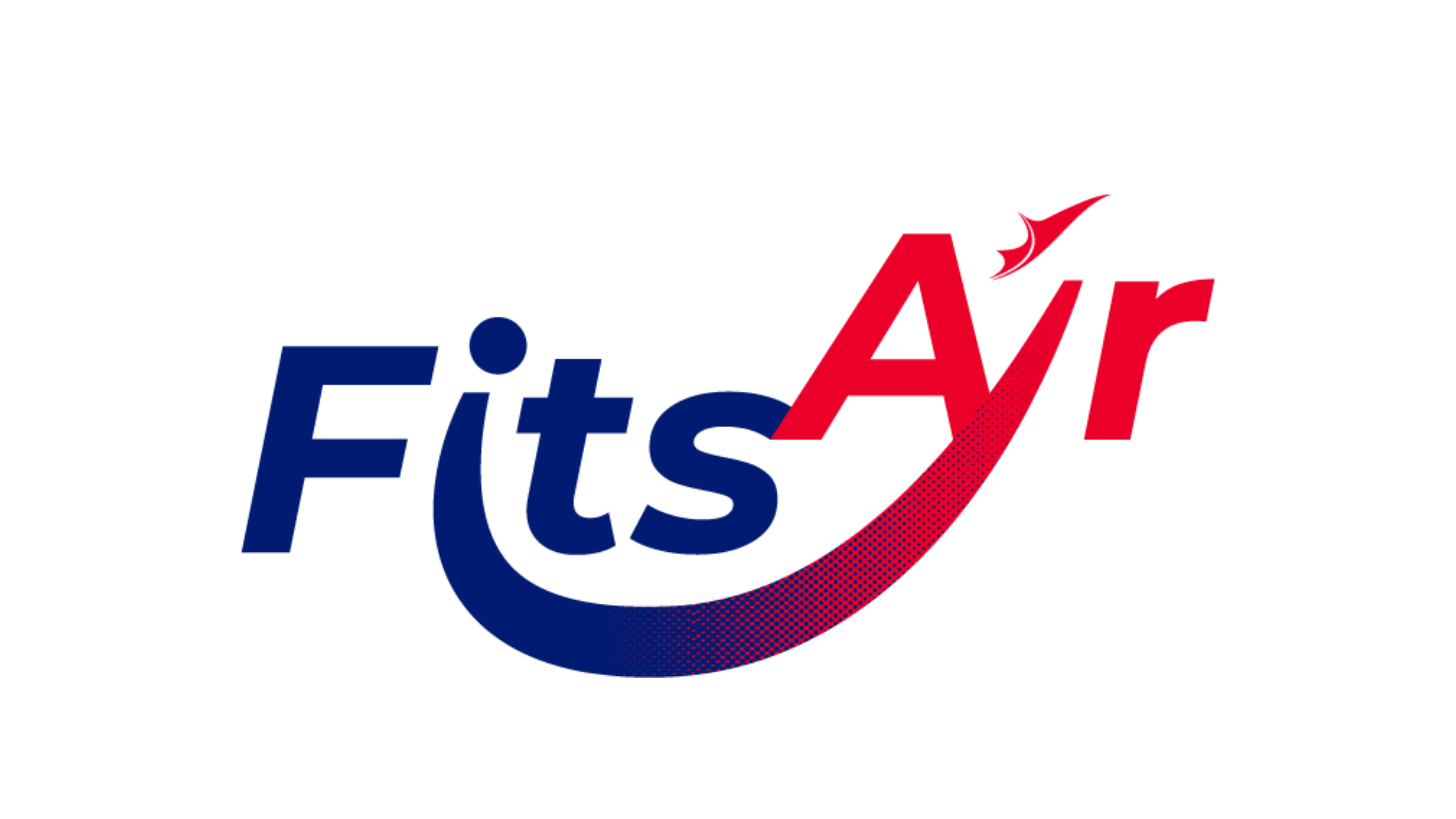 Airline Logo 10